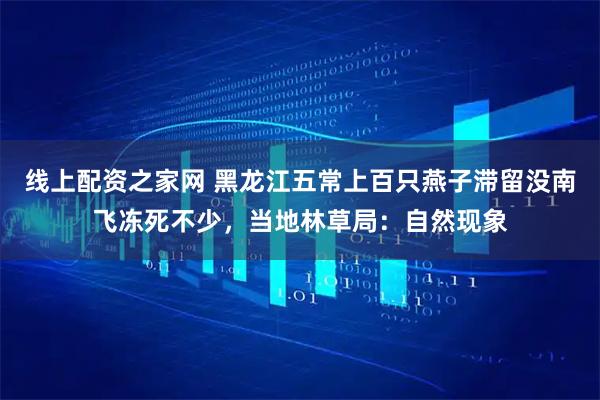 线上配资之家网 黑龙江五常上百只燕子滞留没南飞冻死不少，当地林草局：自然现象